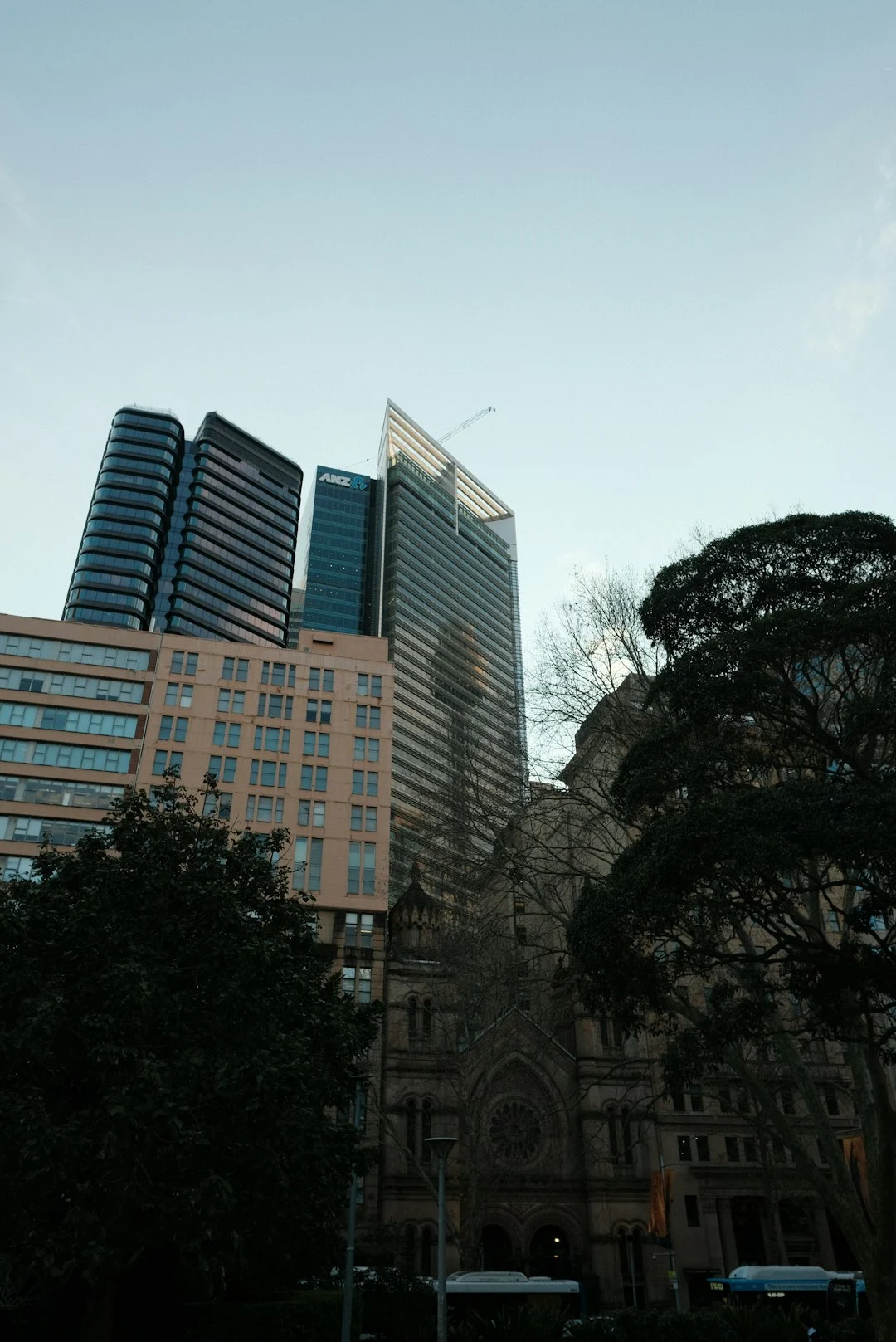 Sydney Market Expertise